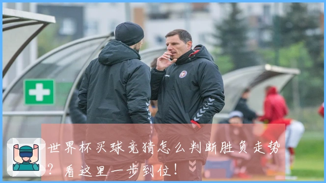 世界杯买球竞猜怎么判断胜负走势？看这里一步到位！