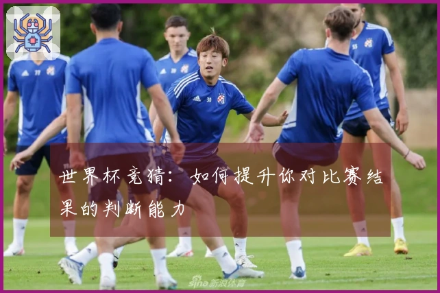 世界杯竞猜：如何提升你对比赛结果的判断能力