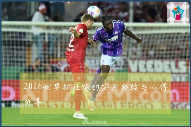 2026世界杯让球的实用经验与心得分享