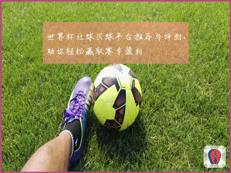 世界杯让球买球平台推荐与评测，助你轻松赢取赛季盈利