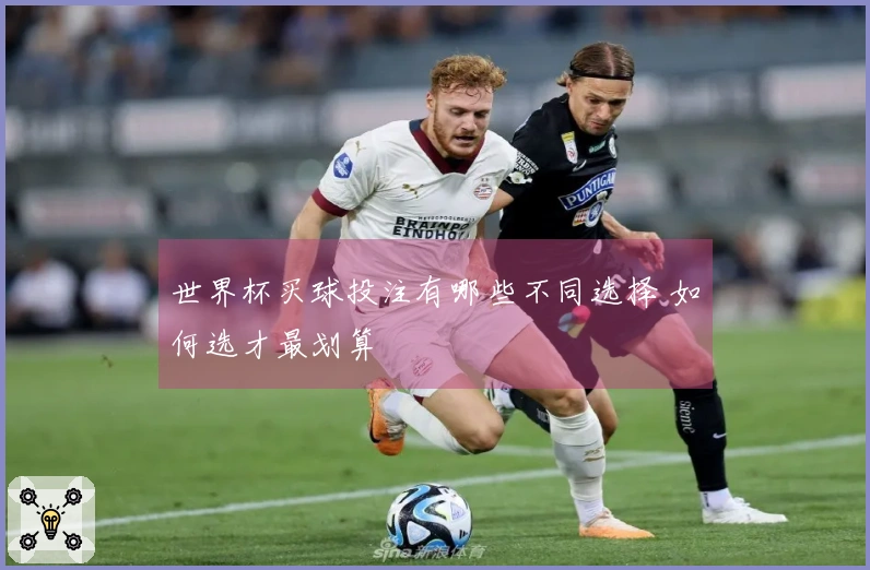 世界杯买球投注有哪些不同选择 如何选才最划算