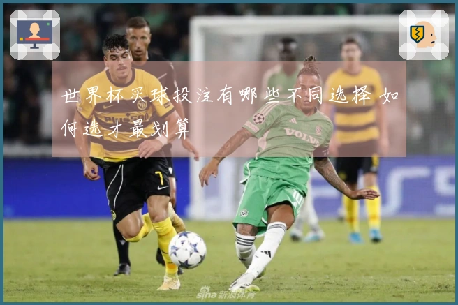 世界杯买球投注有哪些不同选择 如何选才最划算