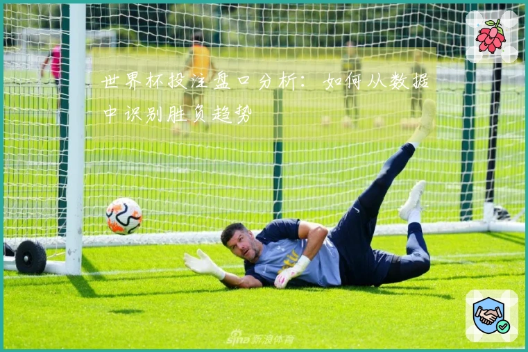 世界杯投注盘口分析：如何从数据中识别胜负趋势