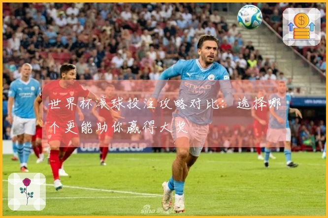 世界杯滚球投注攻略对比：选择哪个更能助你赢得大奖