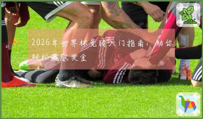 2026年世界杯竞猜入门指南，助你轻松赢取奖金