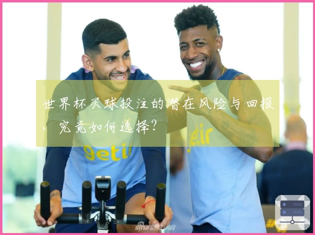 世界杯买球投注的潜在风险与回报，究竟如何选择？